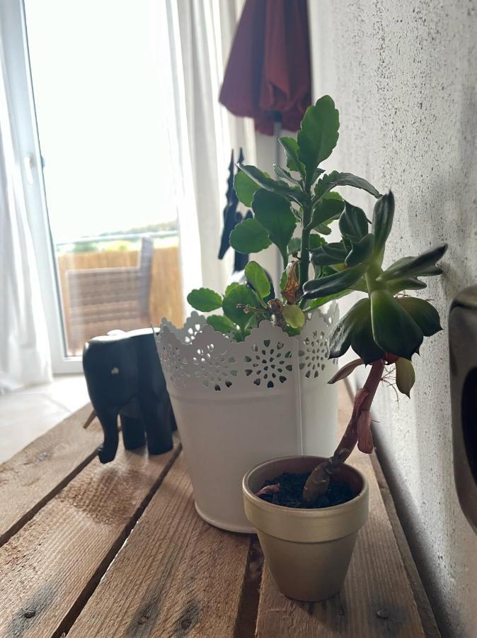 Schoene Wohnung In Ruhiger Laendlicher Lage Heidenheim  Екстериор снимка